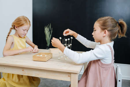 Immersed girls are busy building 3d shapes from plasticine and toothpicks