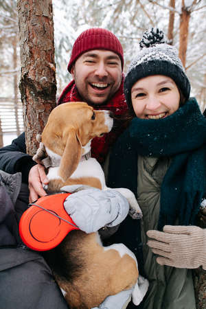 Portrait of a happy couple standing outdoors at winter with their beagle dog. Both wearing hats, jackets and scarfs. Conifer tree trunks in background.の写真素材
