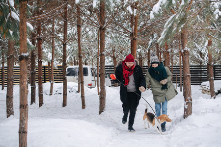 Energetic couple fast walking on a snowy pathway with their dog between conifer tree trunks through their yard. Both wearing hats, jackets and scarfs.の写真素材