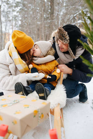 Family in the winter forest, parents next to the baby in a sleigh, mom kisses the babyの写真素材