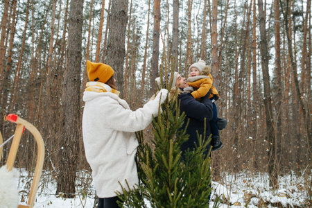 The family is walking in the winter forestの写真素材