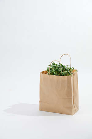 Crampled paper bag with plant bed sticking out of it. over white backgroundの写真素材