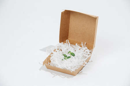 Plant stock surrounded with fillings in a paper container over white background. Eco friendly packaging concept.の写真素材