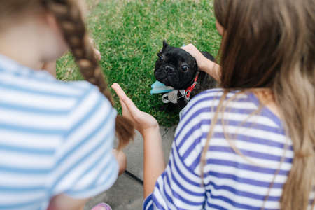 Little girls petting a black pug dog, pulling skin on the head back. From behind their backs.の写真素材