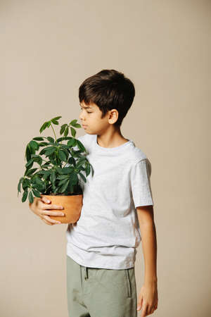 Side view of a casually dressed Indian boy holding a potted plant in his arms. Over beige background. He has uneasy expression. standing straight.の写真素材