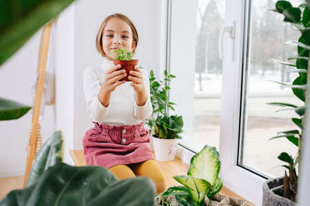 Happy girl sitting on her legs on a window sill, gently holding a little potted plant. She's looking at the camera.の写真素材