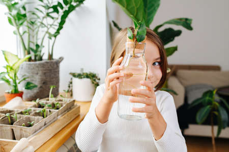 Playful curious little girl holding a bottle with seedling with roots in the water, standing next to a windowの写真素材