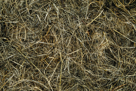 Jumble of straw texture. Mowed dried grass piled up. close up.