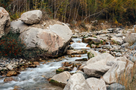 Mountain running water stream with stony banks and some forrest in background. Berry bush grows on the side of itの写真素材