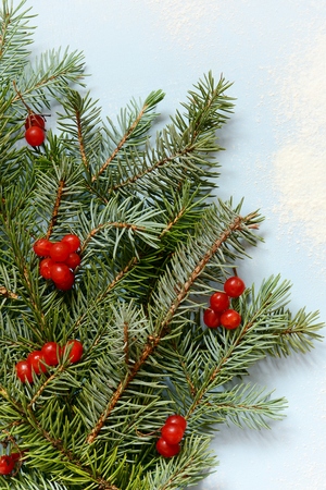 A bouquet of flowers on a blue background, powdered with snow. Winter bouquet, New Year's mood. Bunch of small thorny evergreen fir branches wrappedの写真素材