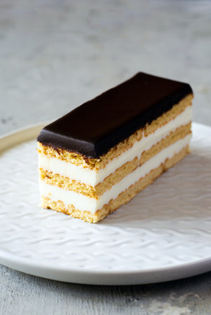 Cake with shortbread, yogurt and chocolate icing on a plate on a gray background. Delicious dessert,...