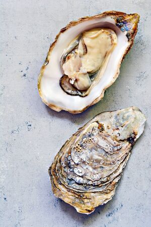 Mediterranean oysters on a light background. Sea delicacy.の写真素材