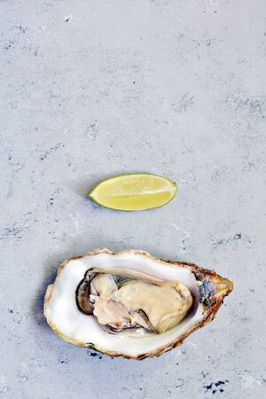 Mediterranean oysters on a light background. Sea delicacy.の写真素材
