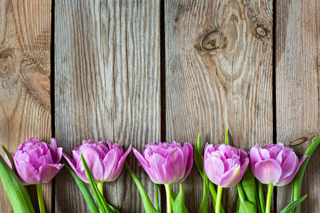Lilac tulips on a wooden background, happy mother's day, holiday and birthday gift. spring concept. top view.の写真素材