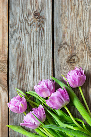 Lilac tulips on a wooden background, happy mother's day, holiday and birthday gift. spring concept. top view.の写真素材