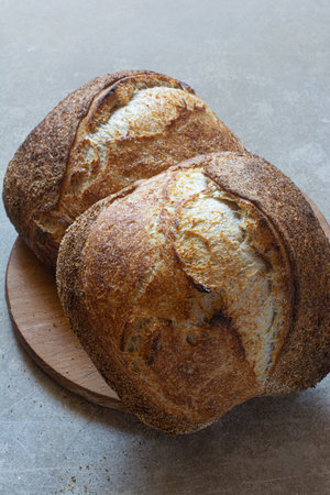 Fresh crusty sourdough bread with the addition of whole wheat flour on a gray background.の写真素材
