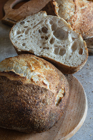 Fresh crusty sourdough bread with the addition of whole wheat flour on a gray background. Yeast-free...