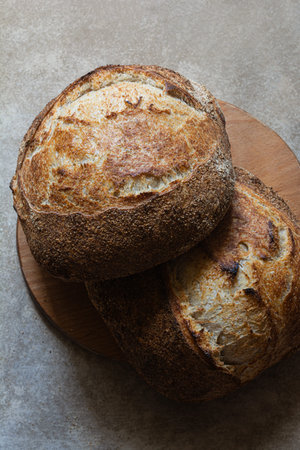 Fresh crusty sourdough bread with the addition of whole wheat flour on a gray background.