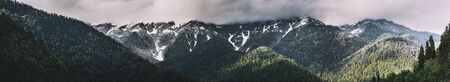 Mountain forest and clouds. Summer panoramic landscape