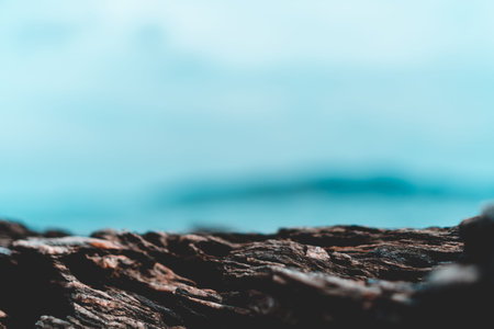 Selective focus od black stone texture for put product to show with beach in background.