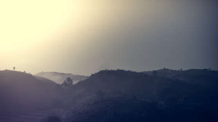 Landscape of forest and mountains among mist