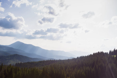 view of mountain landscape in the Carpathians, Ukraine