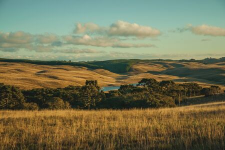 Landscape of rural lowlands called Pampas with groves and hills covered by dry bushes at sunset near Cambara do Sul. A small country town in southern Brazil with amazing natural tourist attractions.