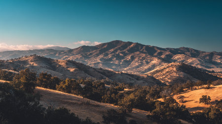 Rolling Hills Landscape Bathed in Golden Light at Sunset or Sunrise