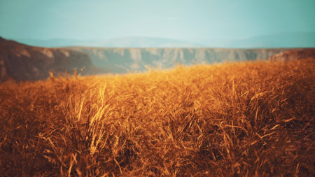 Waves of golden grass sway gently in the breeze, creating a serene landscape. In the distance, rugged cliffs rise against a clear, blue sky, signifying the beauty of nature.