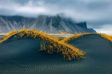 Calm autumn  landscape with black sand dunes with yellow grass on top. Dramatic morning view of Stokksnes cape with Vestrahorn (Batman Mountain) on background. Travel to Iceland.