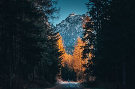 Man, trail runner run in autumn nature, snowy mountains in background