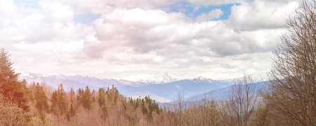 Toned sunny panorama of the cloudy sky, forests and mountains in the Caucasus
