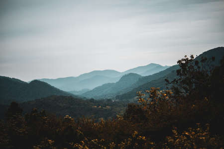 Mountain landscape with forest and blue sky. Natural background. Vintage tone.