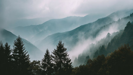 Experience the breathtaking beauty of a misty mountain landscape, where fog gently rolls over hills and trees, creating a serene and tranquil natural scene.