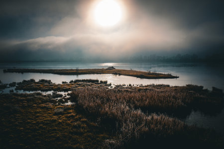 Beautiful foggy lake landscape in the morning. Toned.