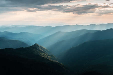 Morning fog in spring mountains