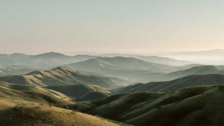 Expressive brushstrokes show the canopy shimmering with streaks of light as mossy textures deepen the lower frame.